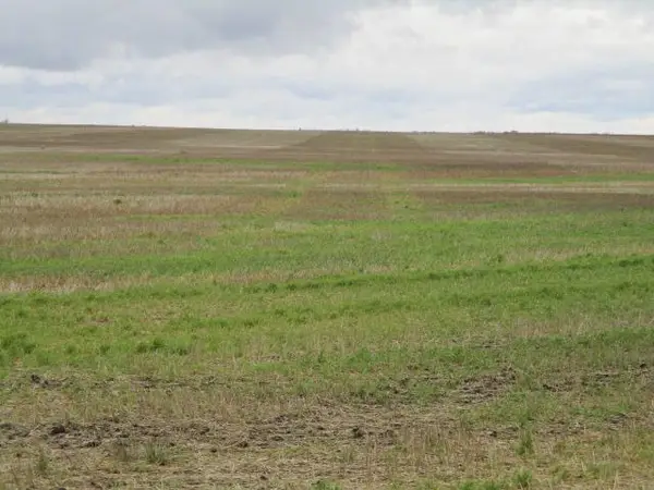 TBD Tbd, Sarles, ND 58339