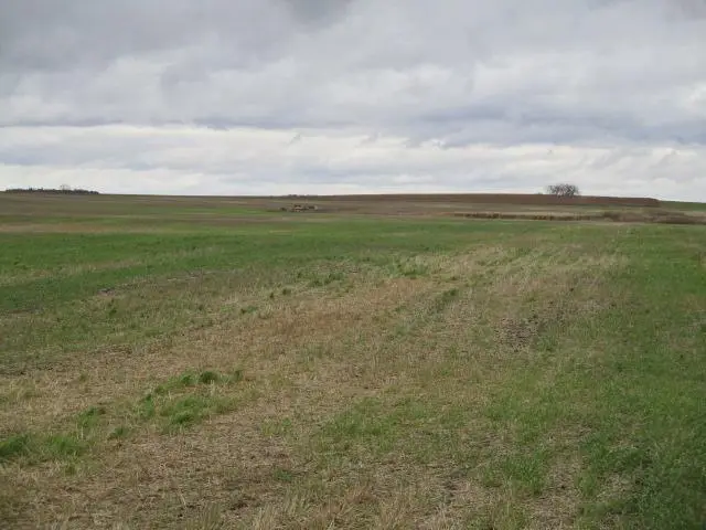 TBD Tbd, Sarles, ND 58339 - #2
