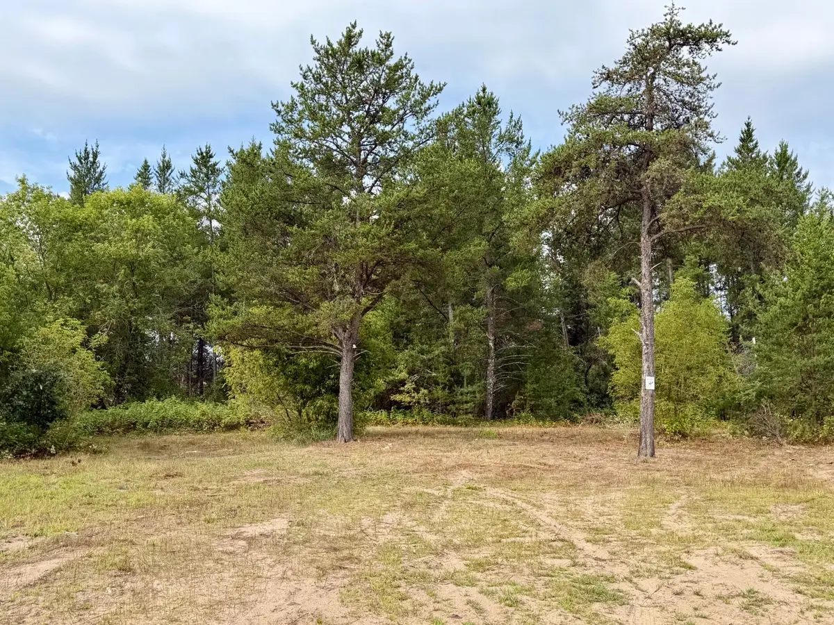 9939 Canary Street, Brainerd, MN 56401 - #1