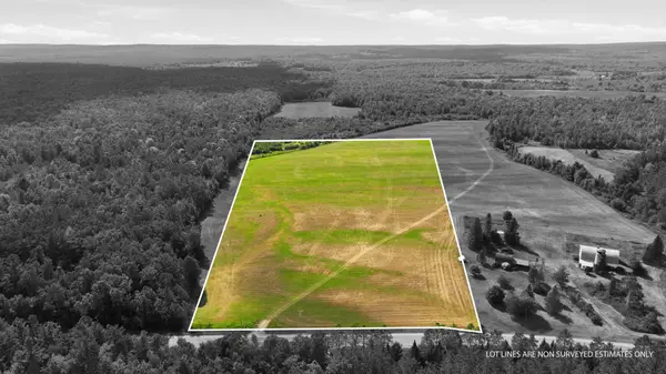 10 Acres State Hwy 40, Bruce, WI 54819