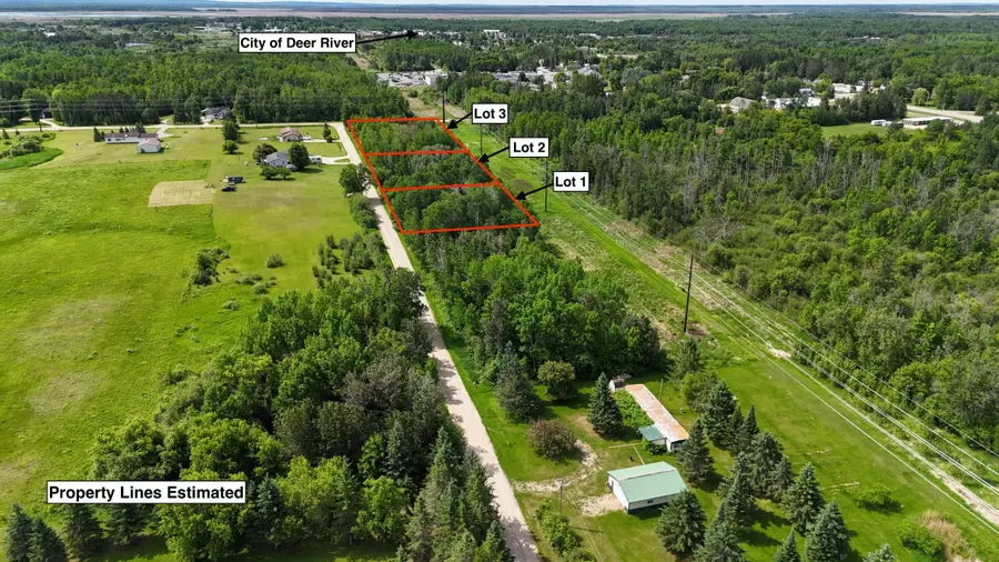 LOT 1 Parameter Road, Deer River, MN 56636 - #2