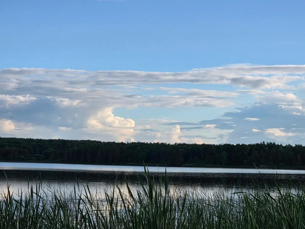 TBD lot 3 190th Street, Bagley, MN 56621 - #1