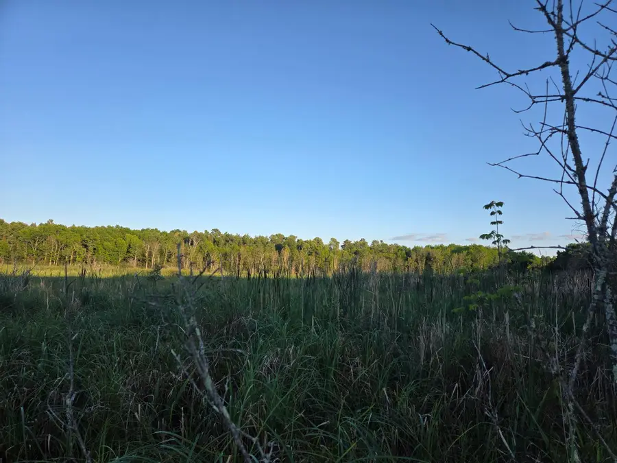 TBD lot 3 190th Street, Bagley, MN 56621 - #2