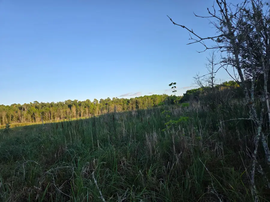 TBD lot 3 190th Street, Bagley, MN 56621 - #3