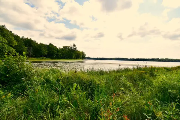 12231 Scott Lake Road, Deerwood, MN 56444