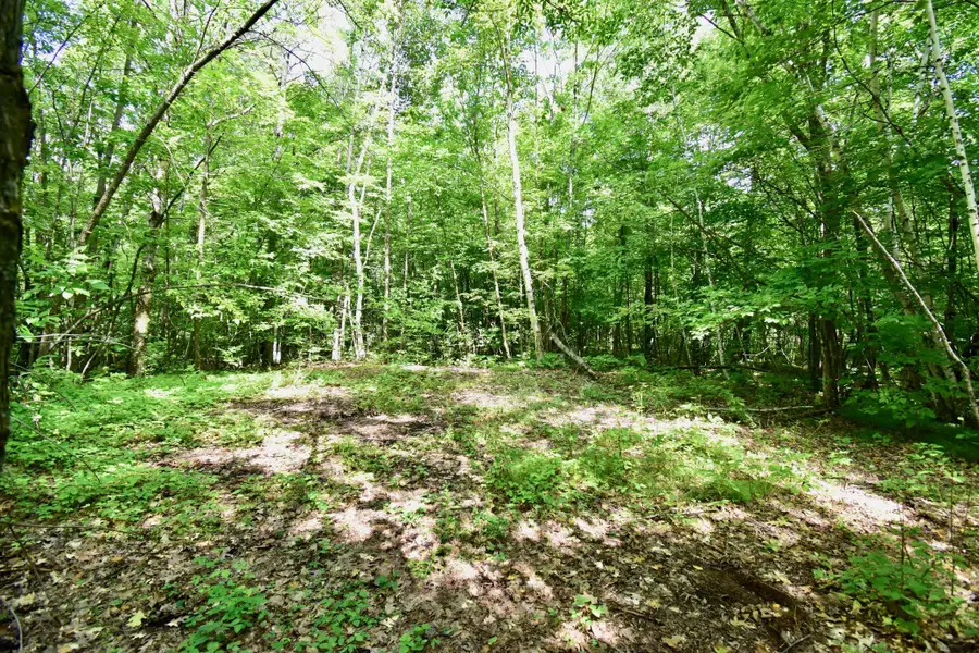 12231 Scott Lake Road, Deerwood, MN 56444 - #2