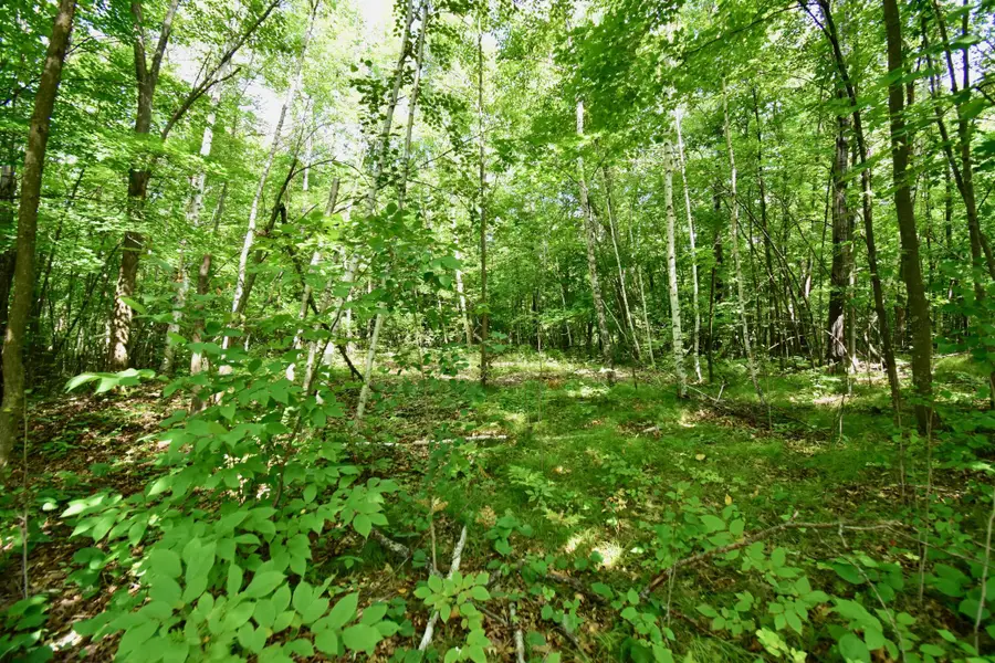 12231 Scott Lake Road, Deerwood, MN 56444 - #3