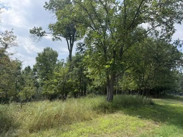 TBD Breezy Point Boulevard, Breezy Point, MN 56472 - #3