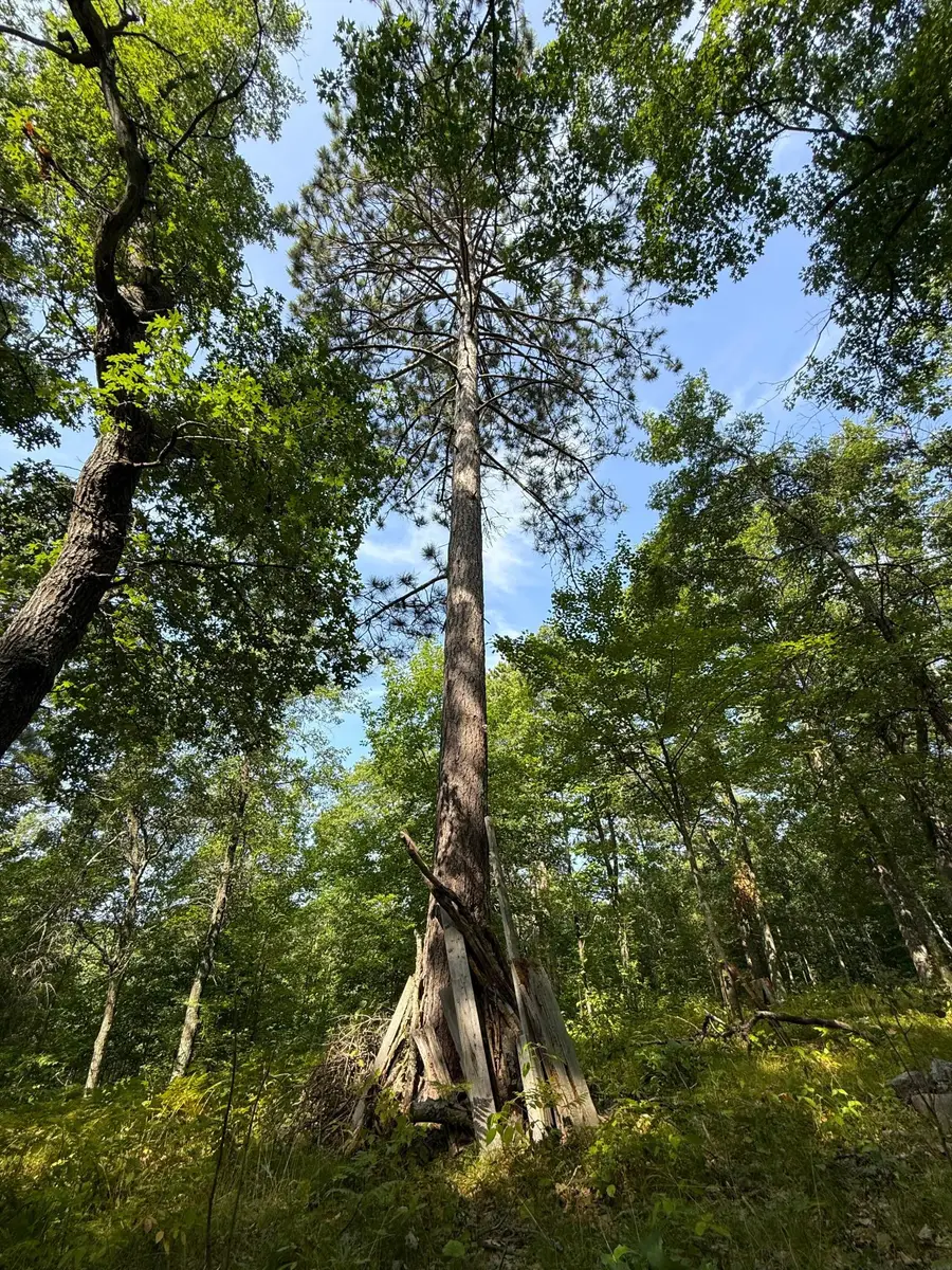 W9XXX Webb Lake Drive, Trego, WI 54888 - #3