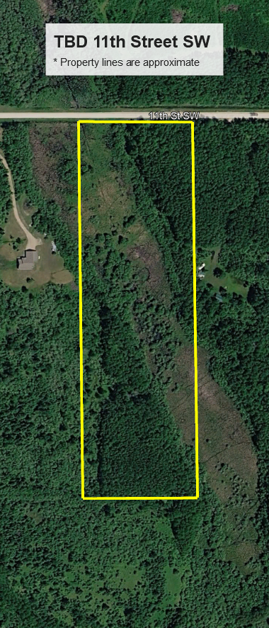 TBD 11th Street Sw, Baudette, MN 56623 - #3