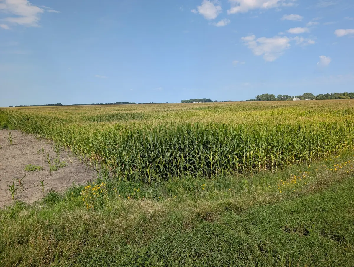 61203 150th St, Chokio, MN 56221 - #1