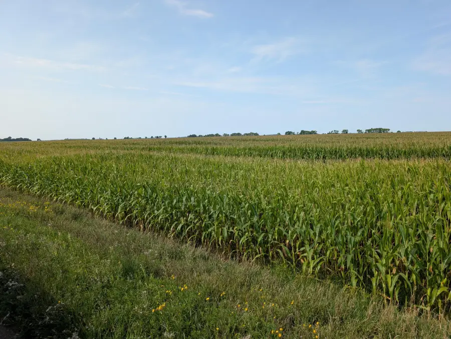 61203 150th St, Chokio, MN 56221 - #2