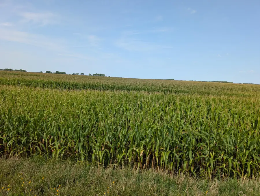 61203 150th St, Chokio, MN 56221 - #3