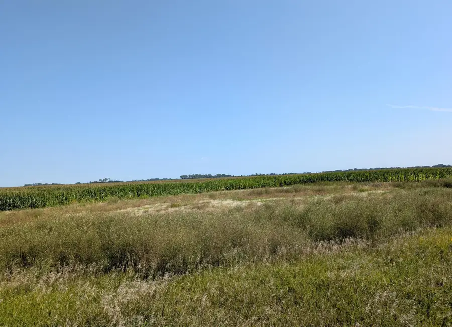 61010 180th St, Chokio, MN 56221 - #3
