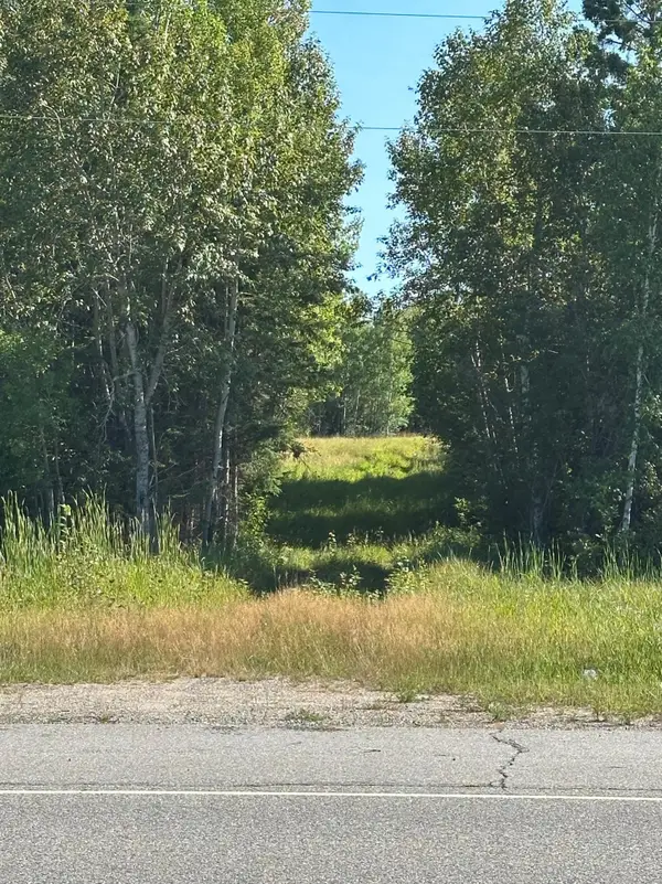 TBD ESH Acreage Highway 53, Ray, MN 56669