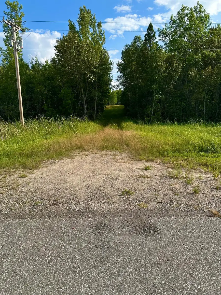 TBD ESH Acreage Highway 53, Ray, MN 56669 - #2