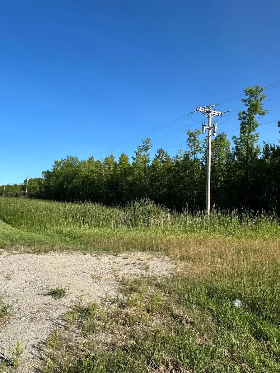 TBD ESH Acreage Highway 53, Ray, MN 56669 - #3