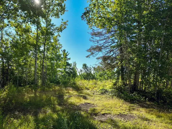 XXX Casper's Hill Road, Grand Marais, MN 55604