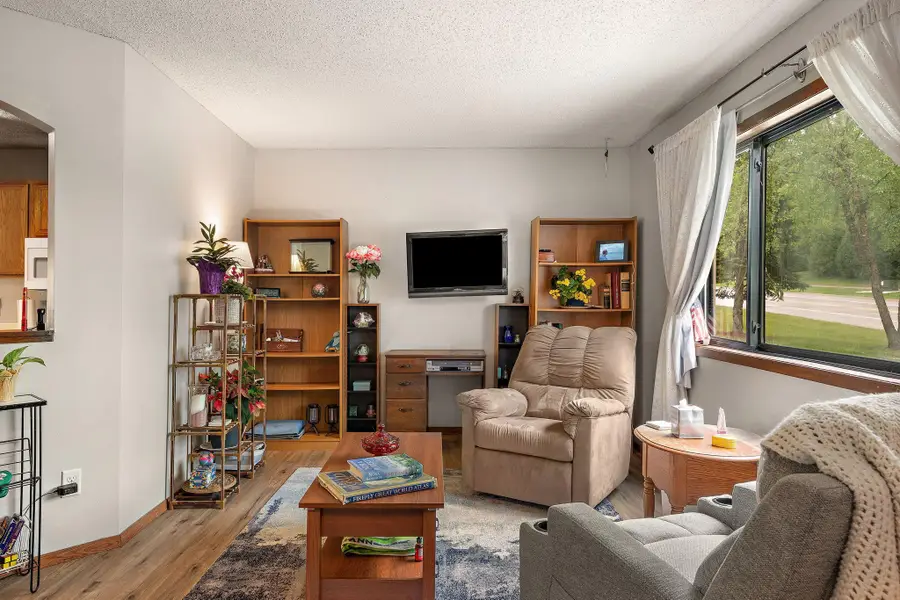 16 E 13th Street, Waconia, MN 55387 - #3