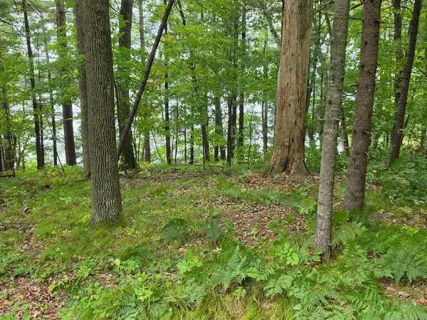 2406 4th Street ( Cty Rd H), Cumberland, WI 54829