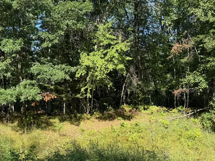 76617 Debbie Ridge Road, Willow River, MN 55795 - #3