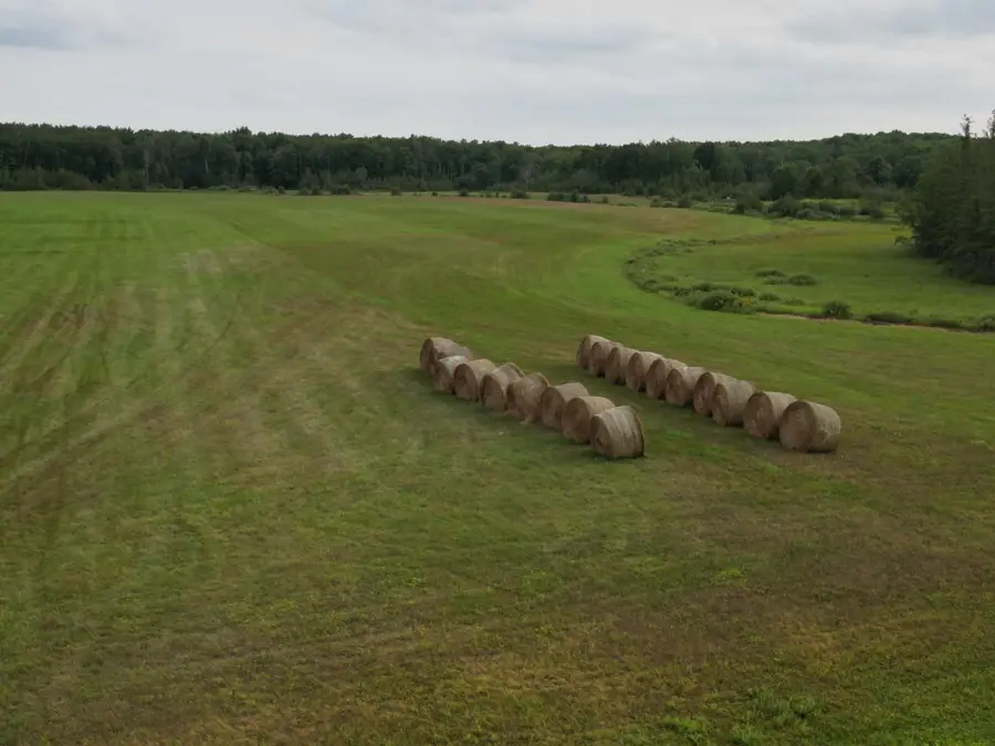 TBD 324th Avenue, Pierz, MN 56364 - #2