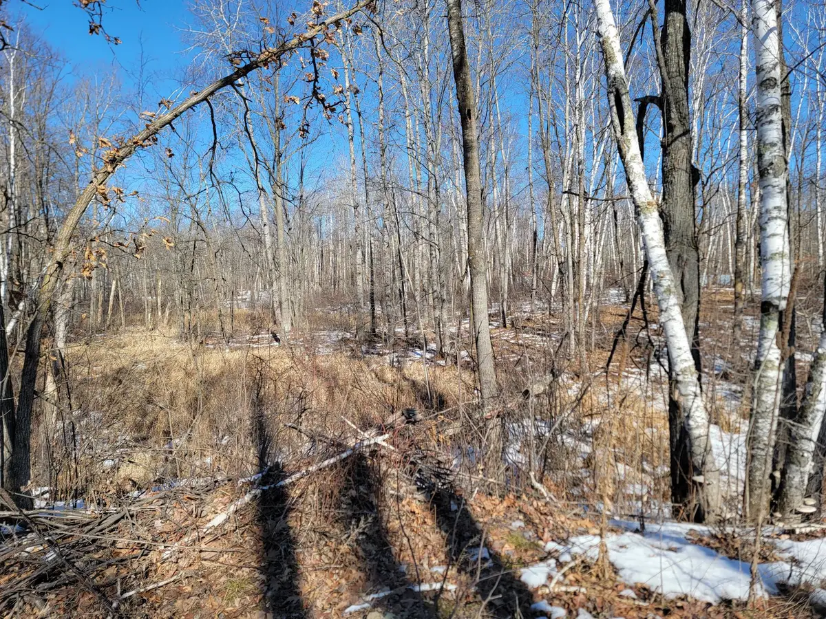 TBD Xxxx Meadow Lake Road Sw, Motley, MN 56466 - #1