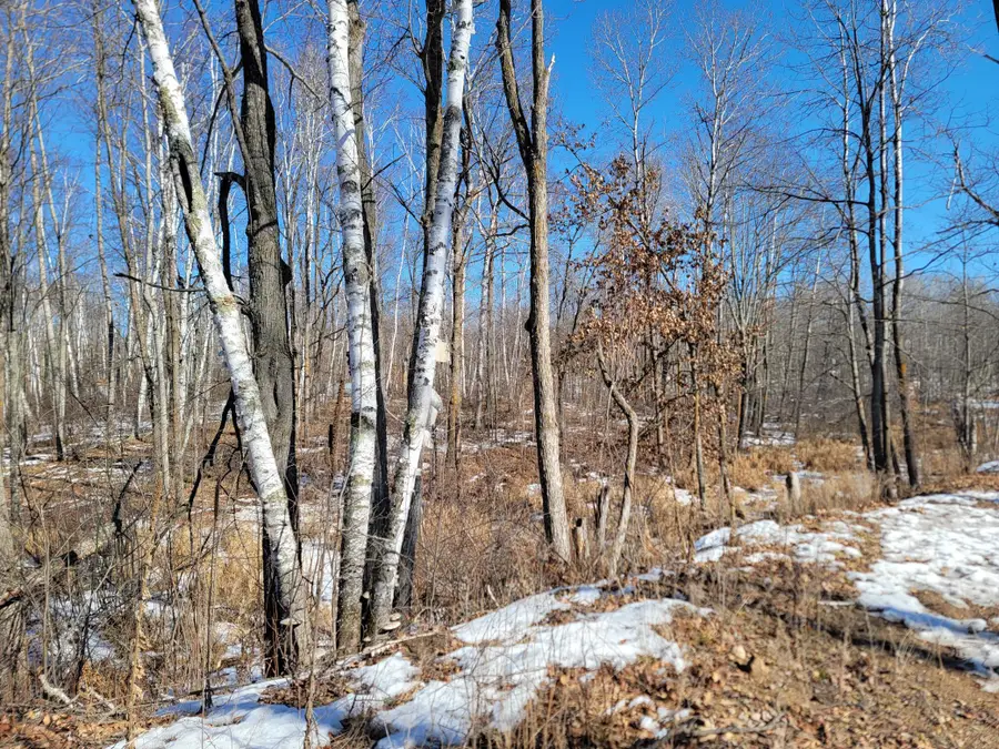 TBD Xxxx Meadow Lake Road Sw, Motley, MN 56466 - #2