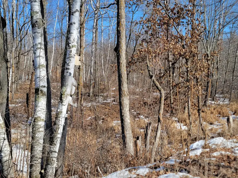 TBD Xxxx Meadow Lake Road Sw, Motley, MN 56466 - #3