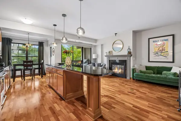 317 Groveland Avenue #311, Minneapolis, MN 55403