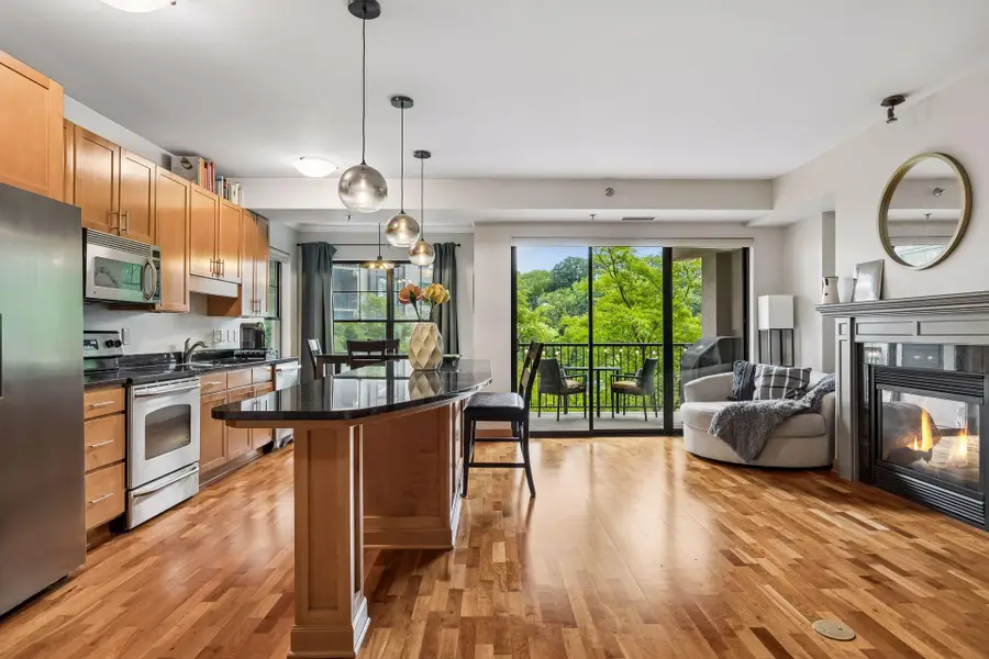 317 Groveland Avenue #311, Minneapolis, MN 55403 - #2