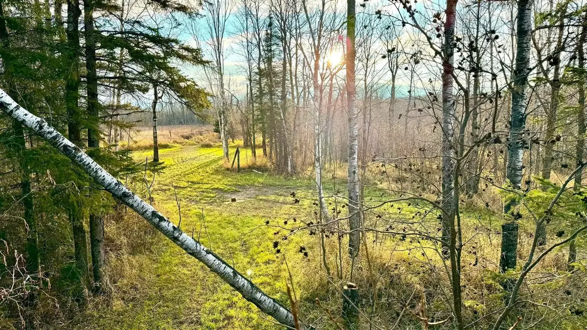 16794 Driftwood Street, McGregor, MN 55760 - #1