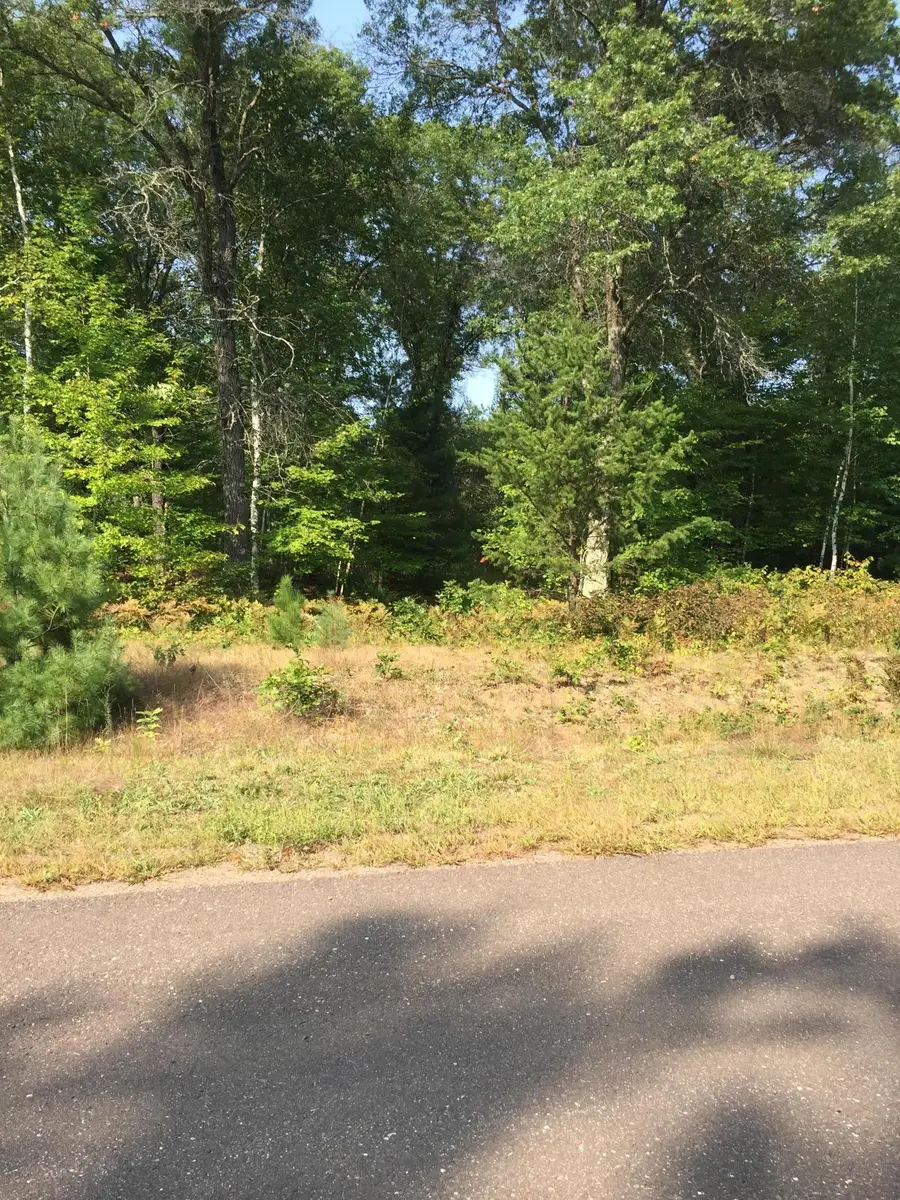 Lot 29 Shady Lane, Siren, WI 54872 - #3