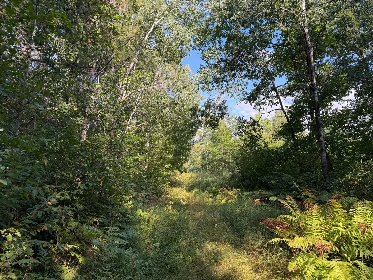 tbd Klice Road, Willow River, MN 55795 - #1