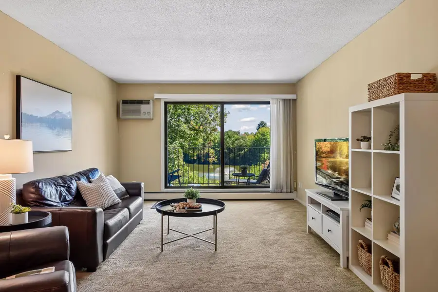 215 Barry Avenue S #217, Wayzata, MN 55391 - #3