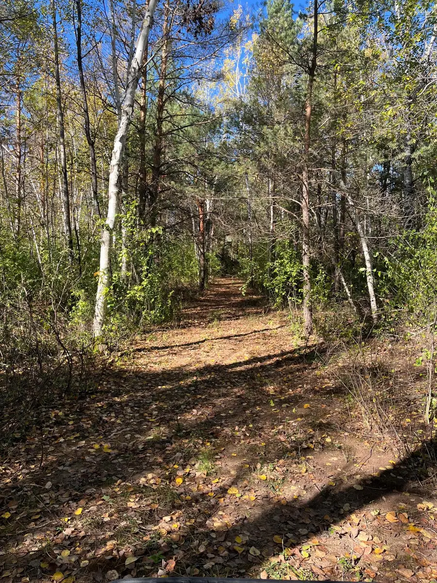 3449 Mosevej, Askov, MN 55704 - #2