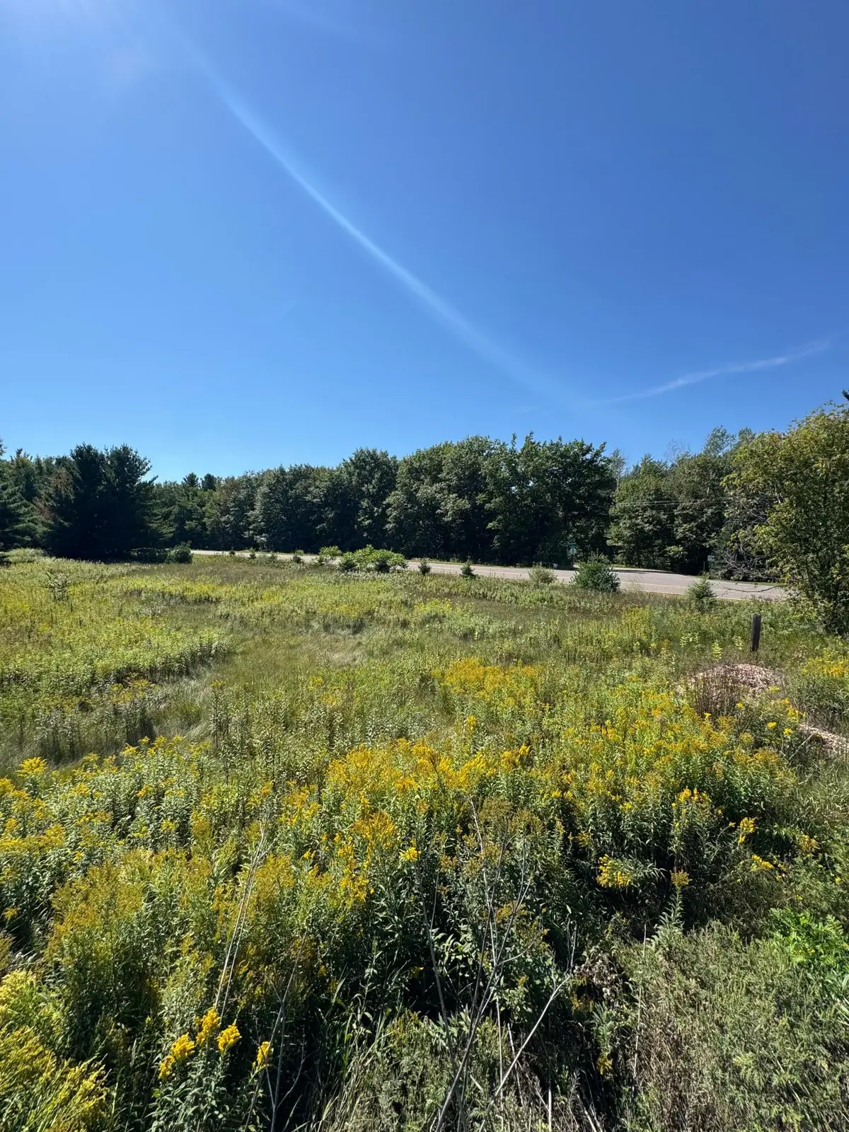 27806 435th Avenue, Aitkin, MN 56431 - #1