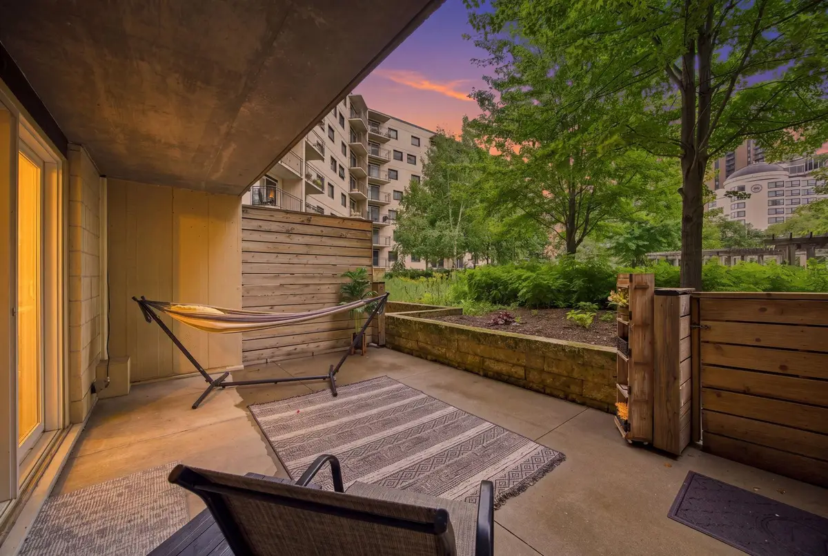 1200 Nicollet Mall #217, Minneapolis, MN 55403 - #1
