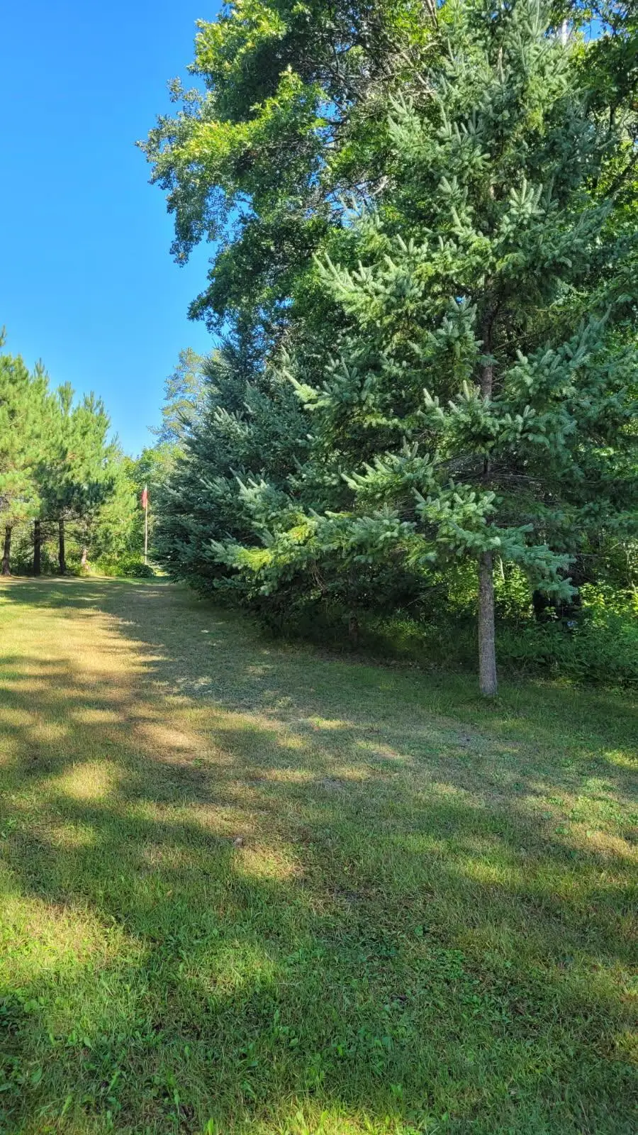 1393 Cottonwood Trail Sw, Pine River, MN 56474 - #3