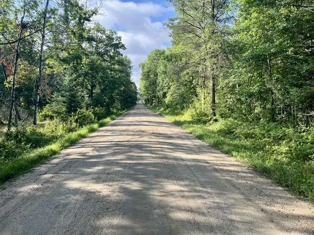 Lot 14 New Melahn Dr (lot14), Lake George, MN 56458 - #3