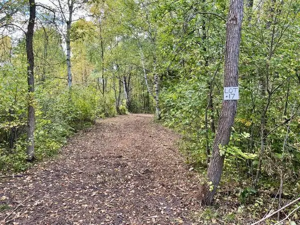 Lot 17 New Melahn Drive, Lake George, MN 56458