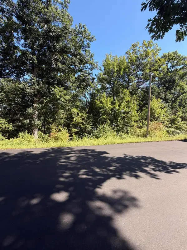 TBD 101st Street, Zimmerman, MN 55398