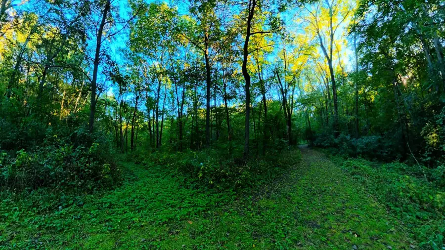 TBD Tbd, Pepin, MN 55981 - #3