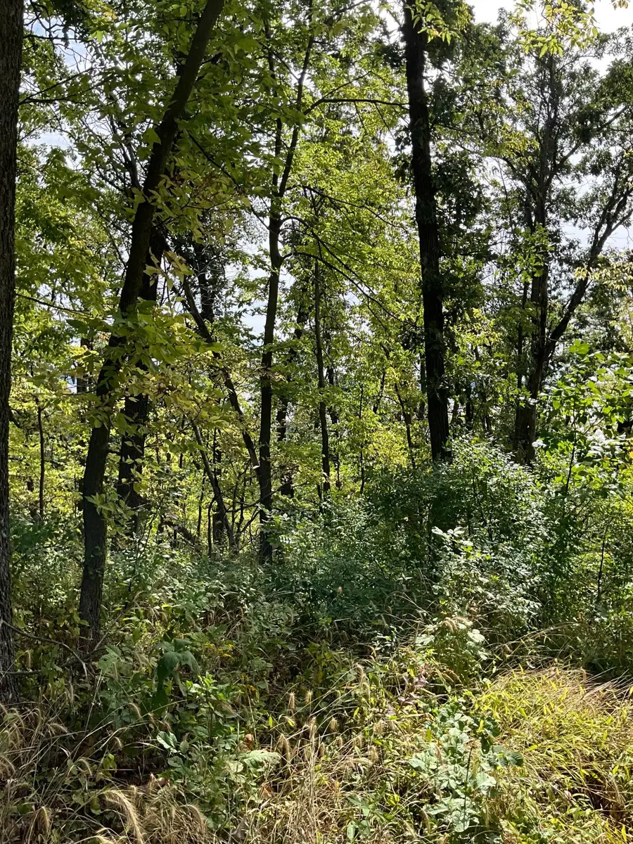 TBD Twin Bluff Lane S, Stockholm, WI 54769 - #2