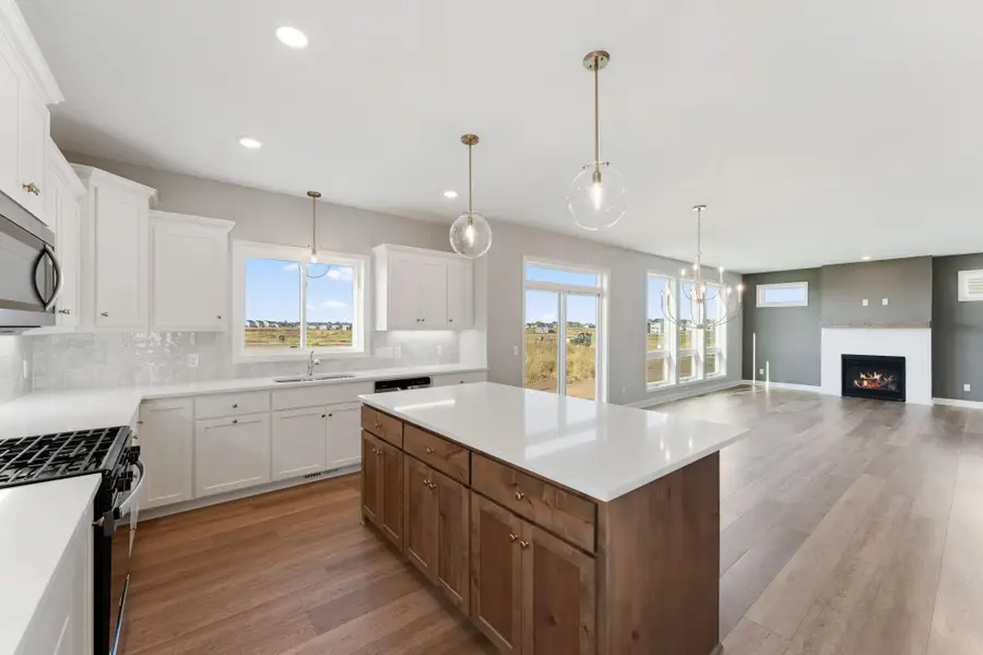 15035 Ardmullivan Lane, Rosemount, MN 55068 - #3