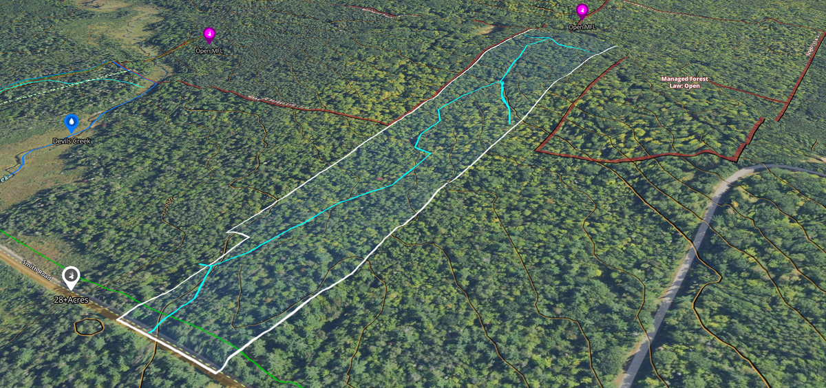 LOT 4 Smith Road, Couderay, WI 54828 - #1