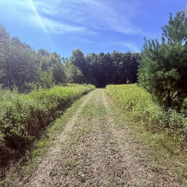 TBD W Lilja Avenue, Shell Lake, WI 54871 - #2