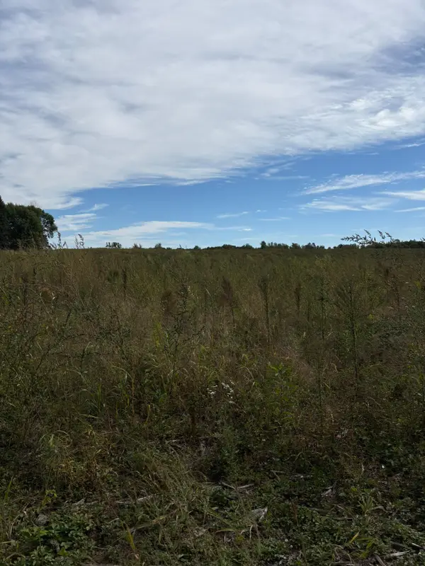 TBD Holman Avenue, Harris, MN 55032