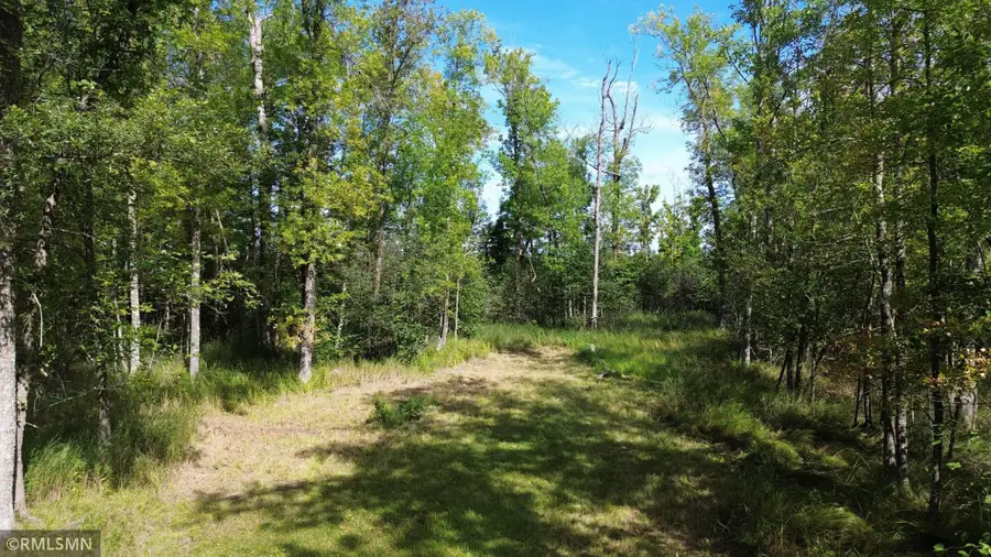 TBD Sheshebe Road, McGregor, MN 55760 - #2