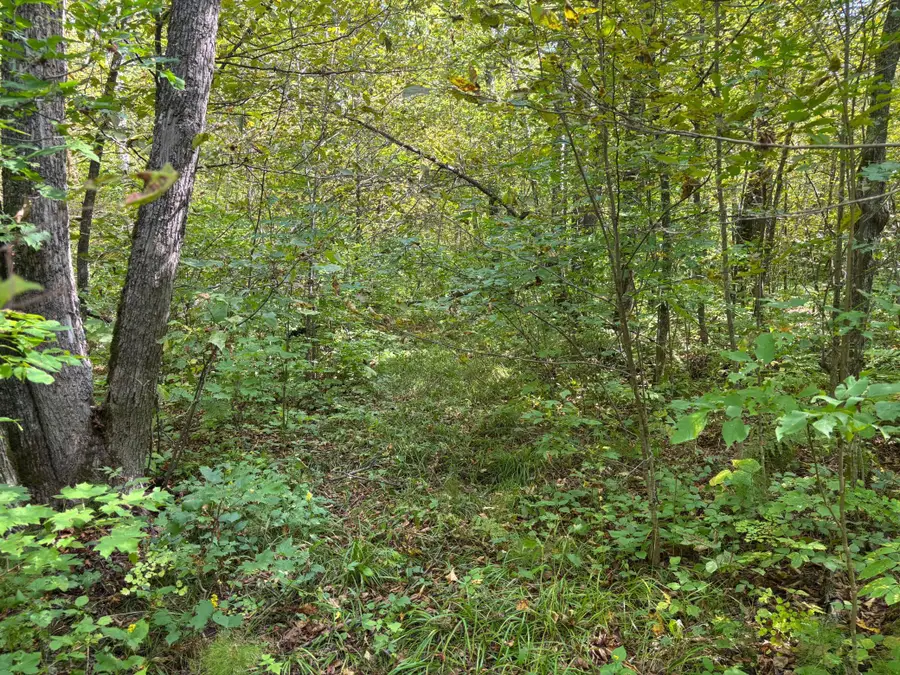 TBD 235th Place, McGregor, MN 55760 - #2